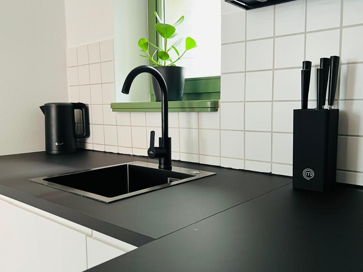 Hip & Minimalist - Stadt Apartments Am Malerweg Pirna Ngoại thất bức ảnh